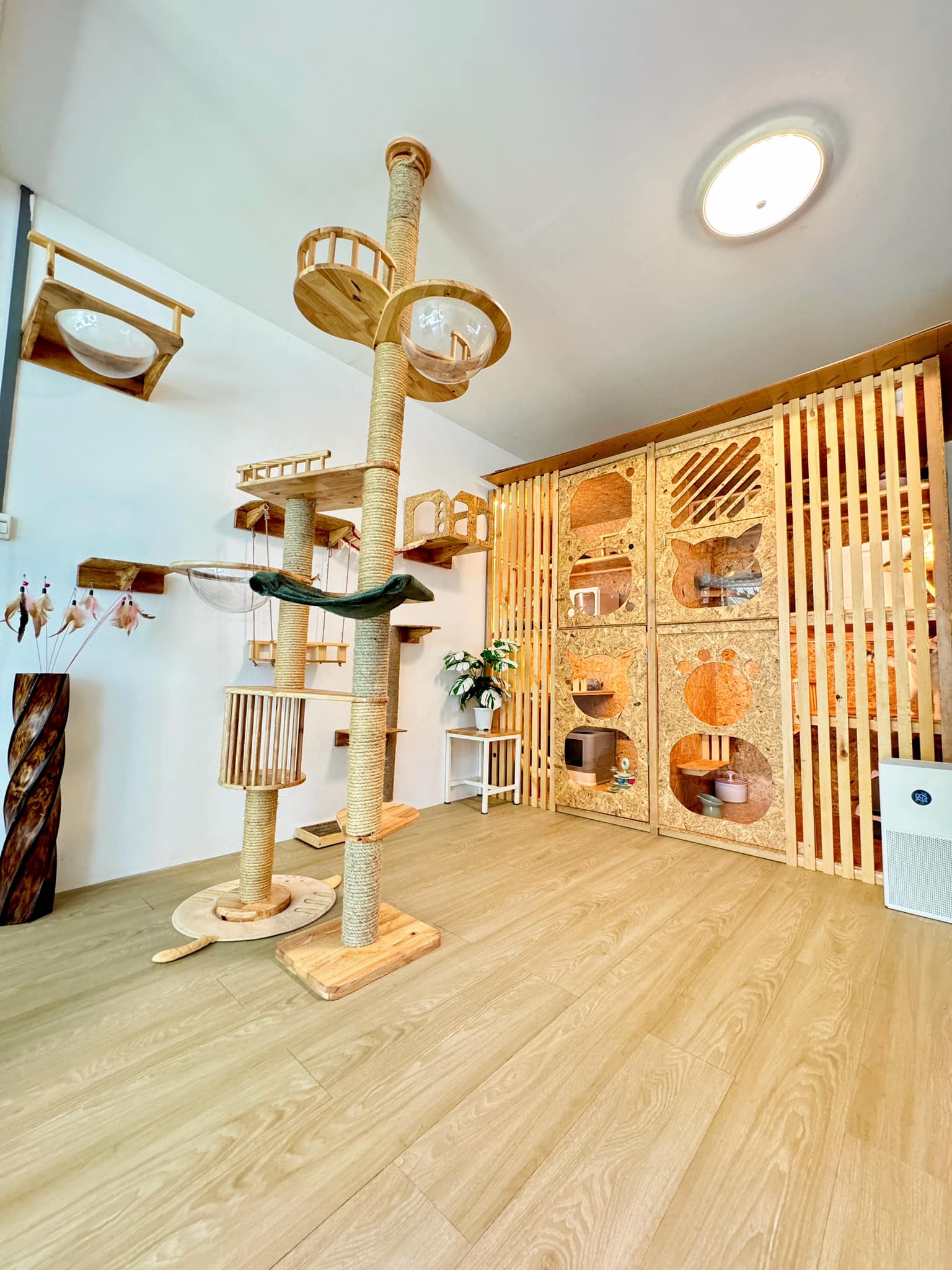 Cat Lover Hotel cover image