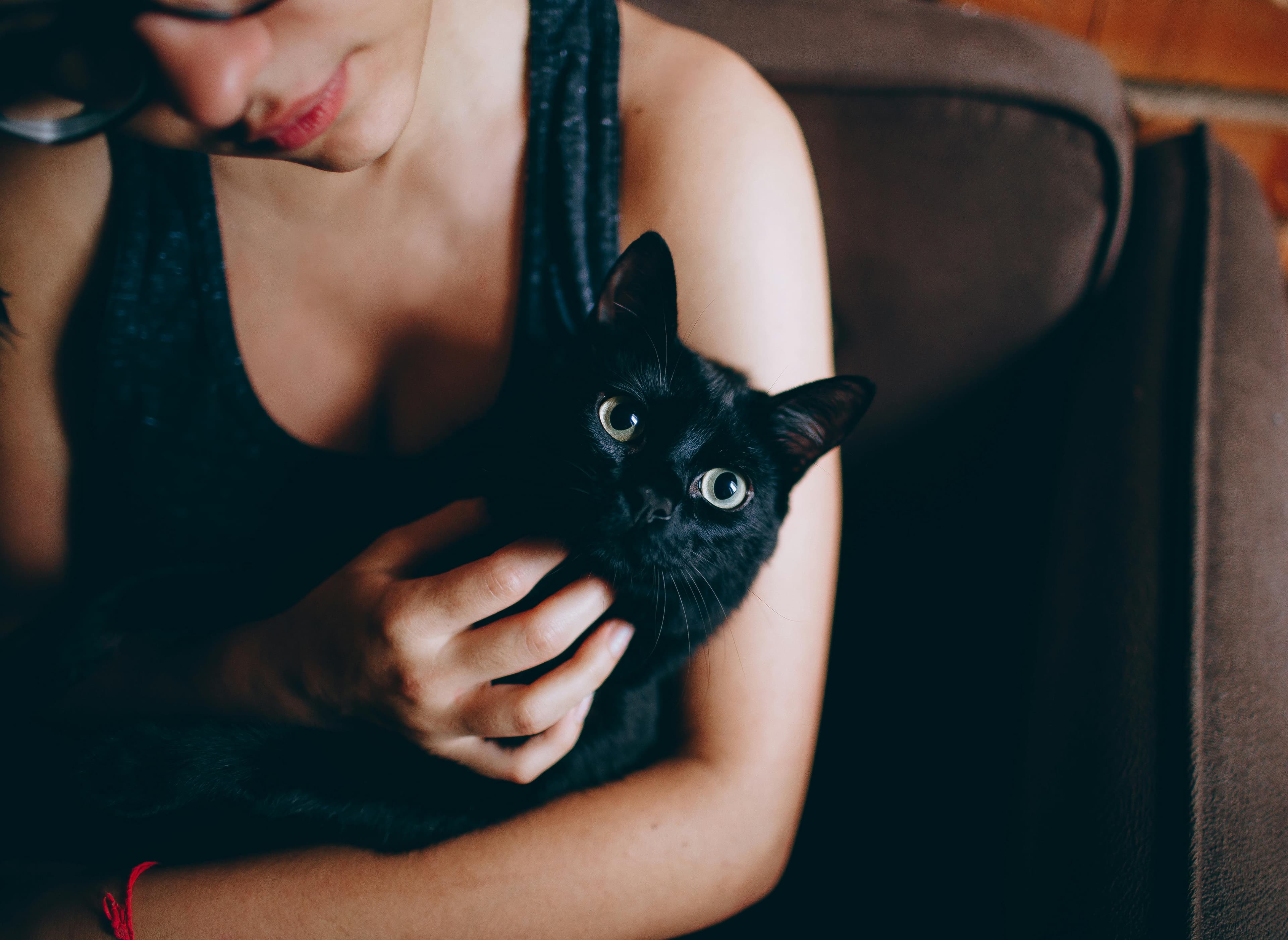 Personalized Cat Care